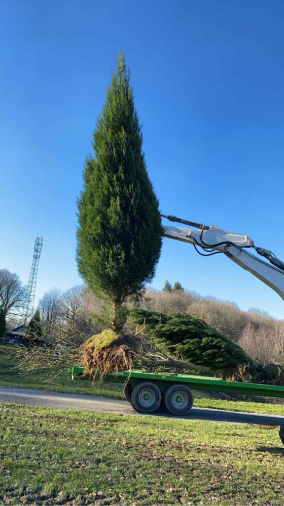 Aménagement extérieur à Pont-l'Évêque